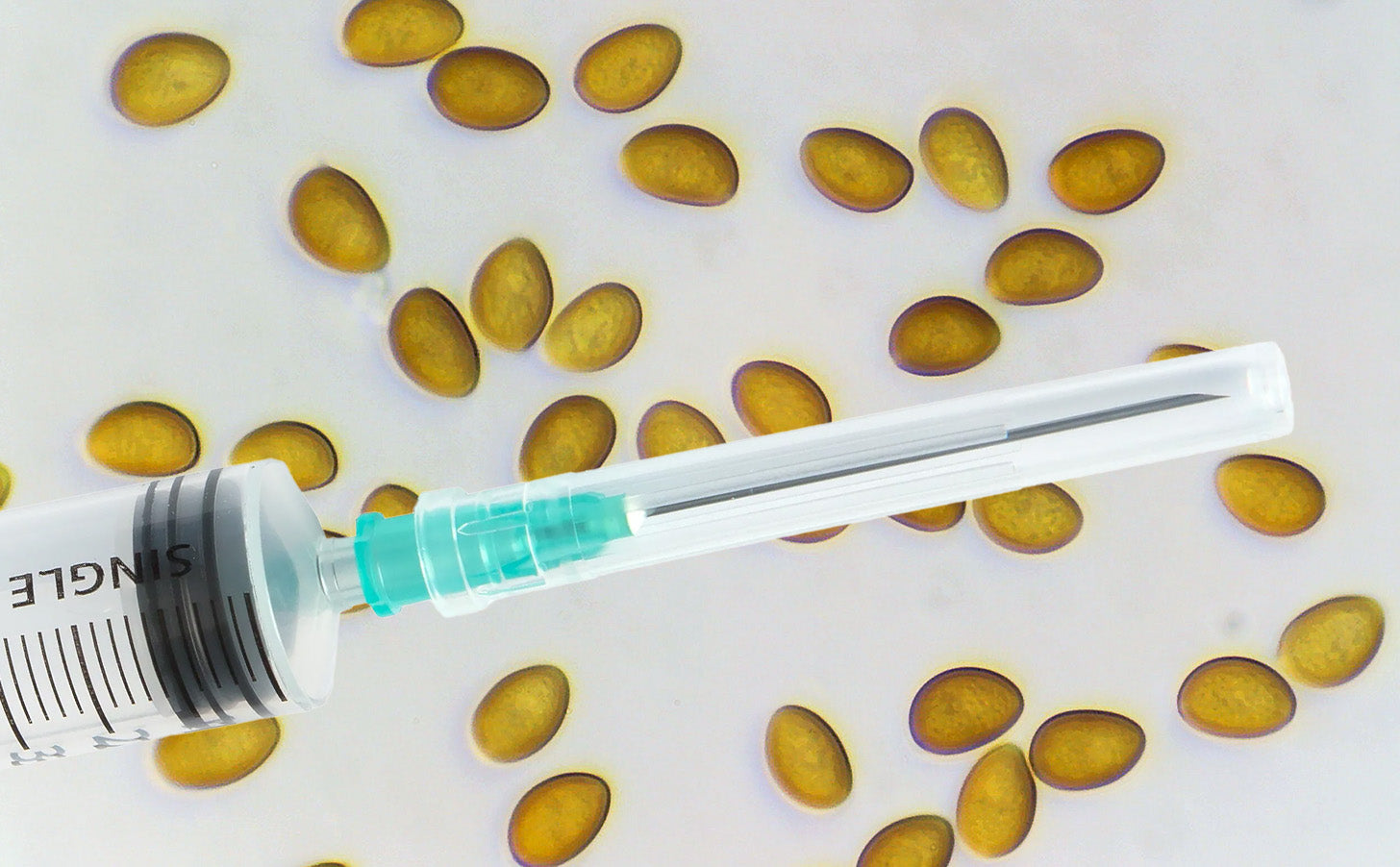 What is a spore syringe?