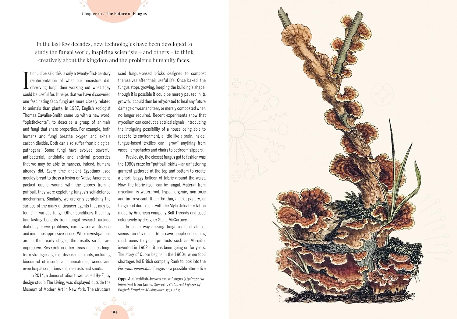 Kew - The Magic of Mushrooms : Fungi in folklore, superstition and traditional medicine