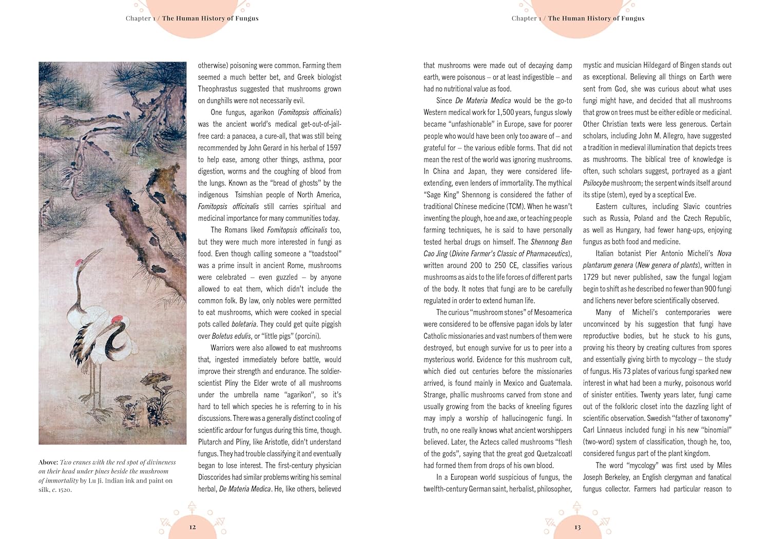 Kew - The Magic of Mushrooms : Fungi in folklore, superstition and traditional medicine