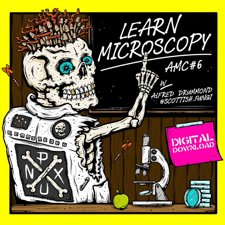 Afterschool Mycology Club #6 - W/ Alfred @scottish.fungi (Digital Download)