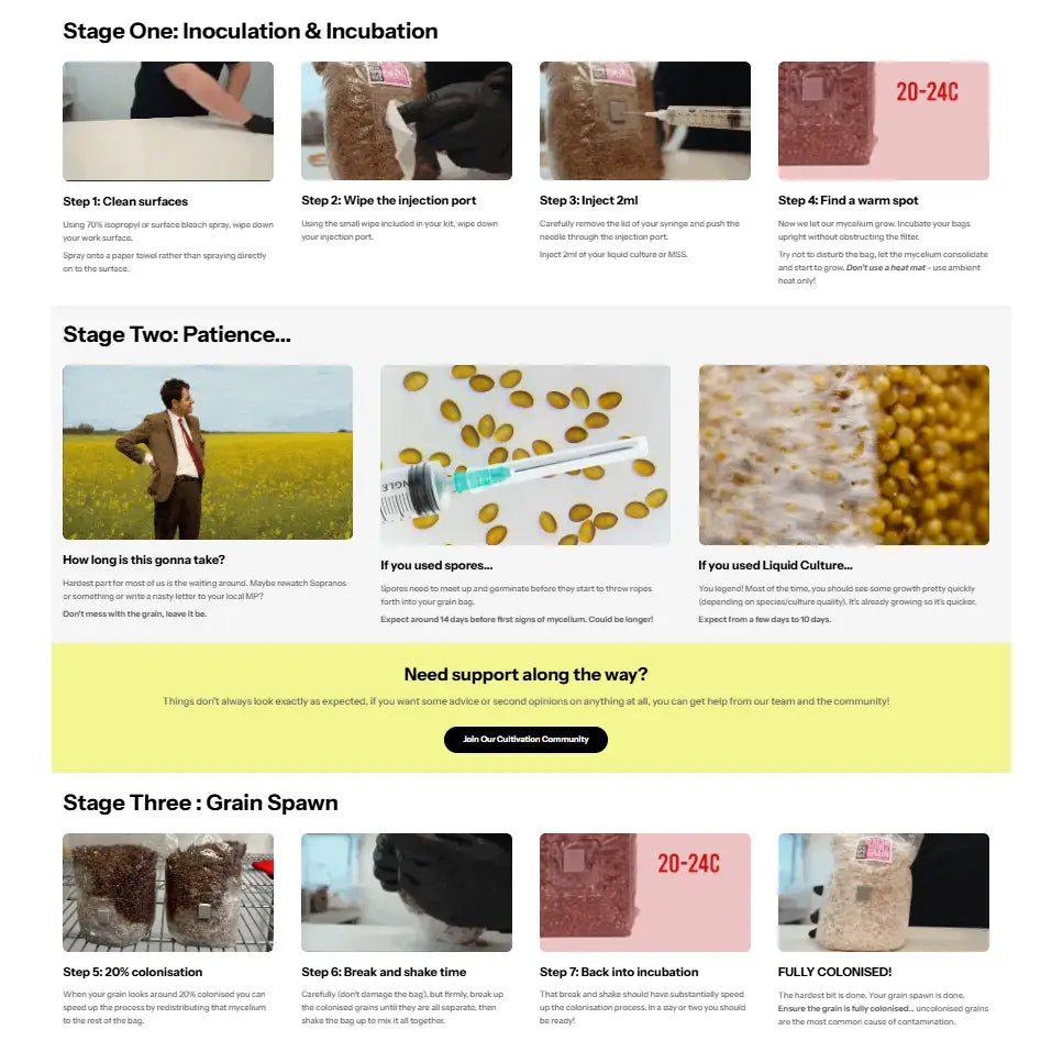 MycoPunks