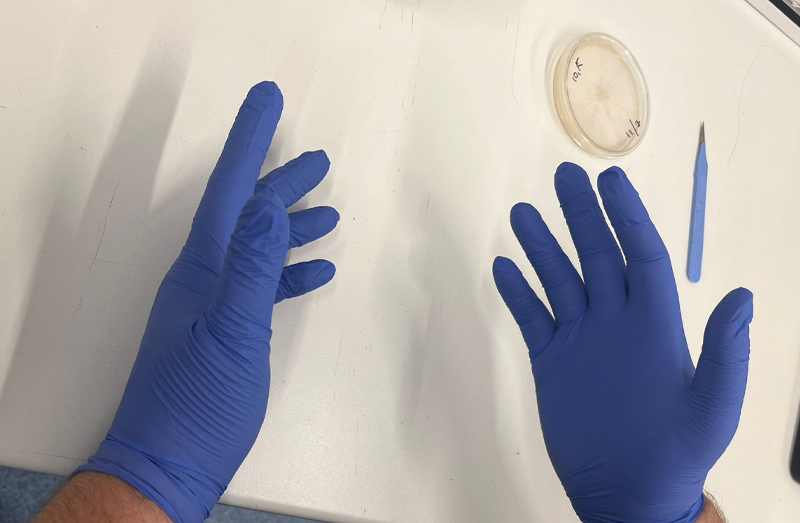 Wear gloves