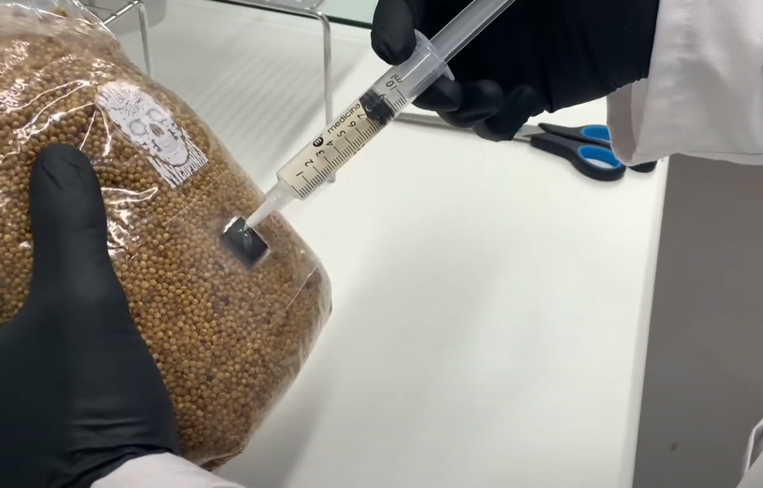 Video Instructions for inoculation