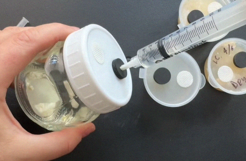 Cargar vídeo: 