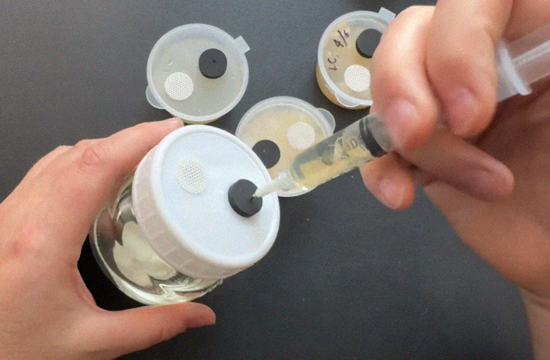 Inoculate jar with liquid culture