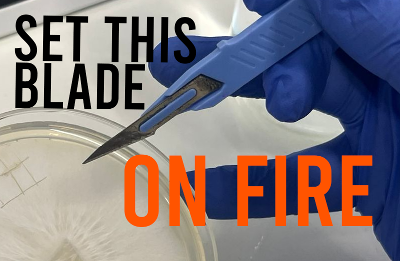 Flame your scalpel between plates