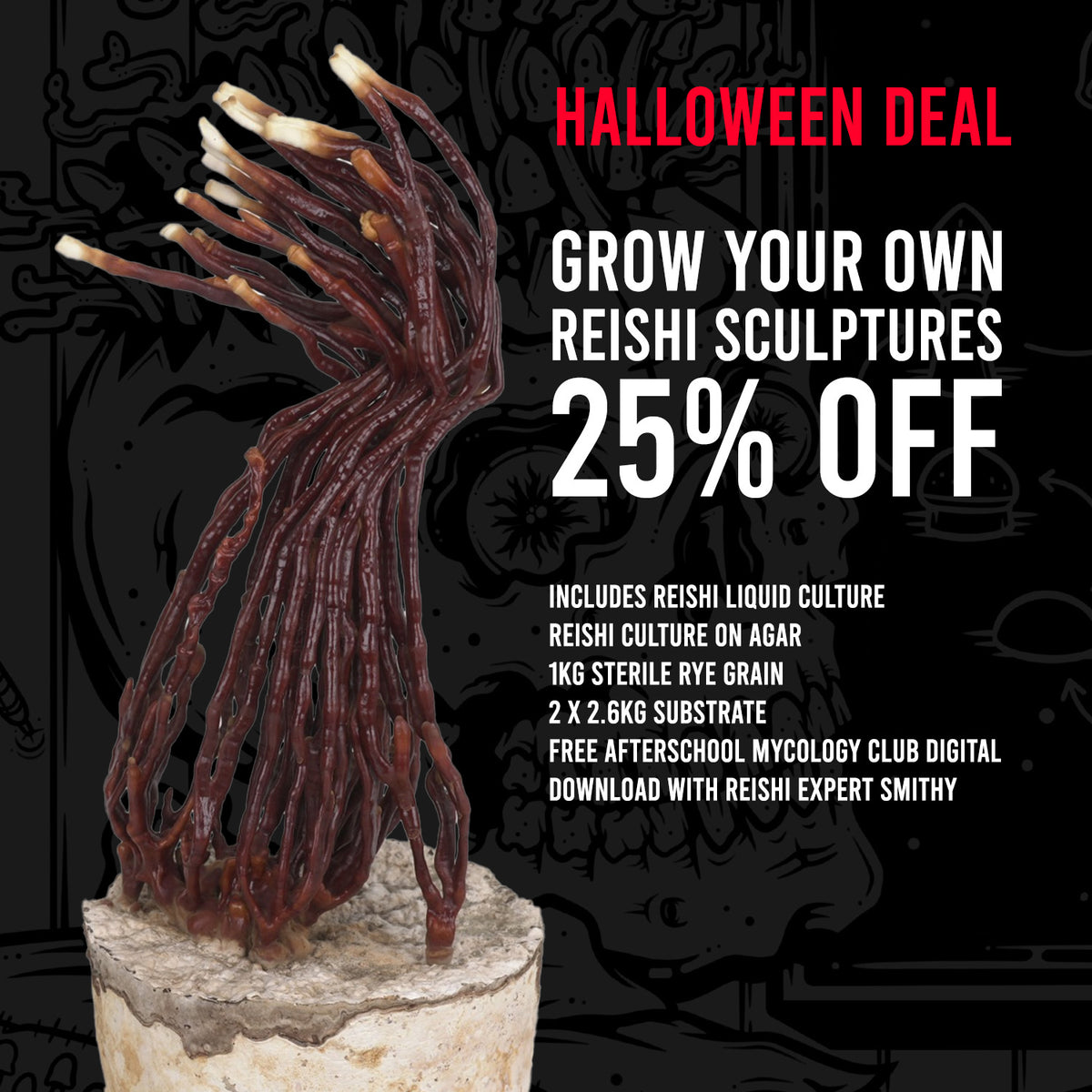 Grow Your Own Reishi Sculptures – DIY Kit with Video Guide!