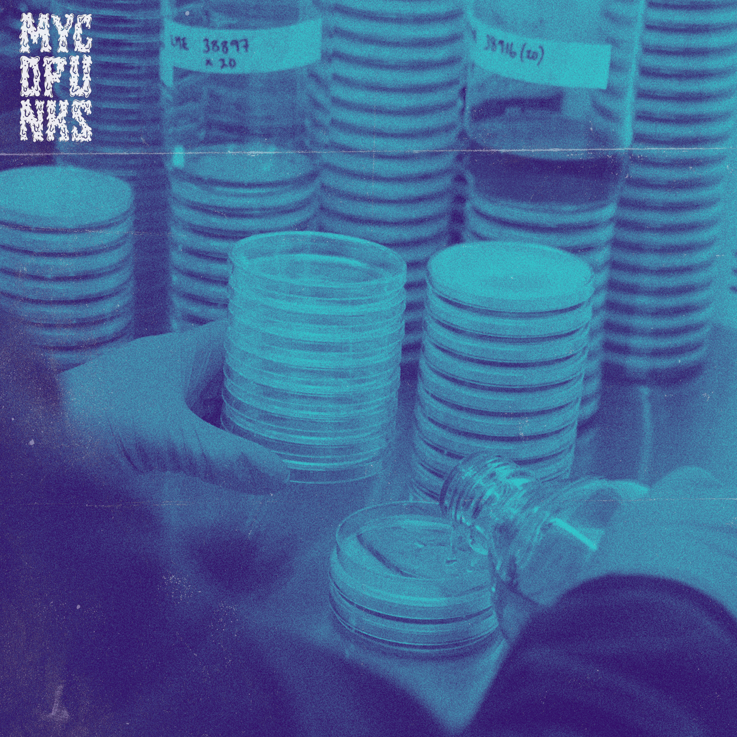 Afterschool Mycology Club #2 - Agar & Liquid Culture W/ Chris @mycopunks (Digital Download)