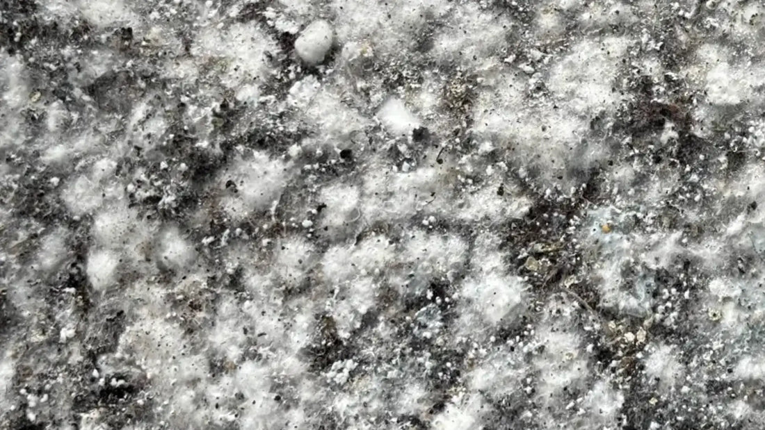 Step 19: Surface Conditions