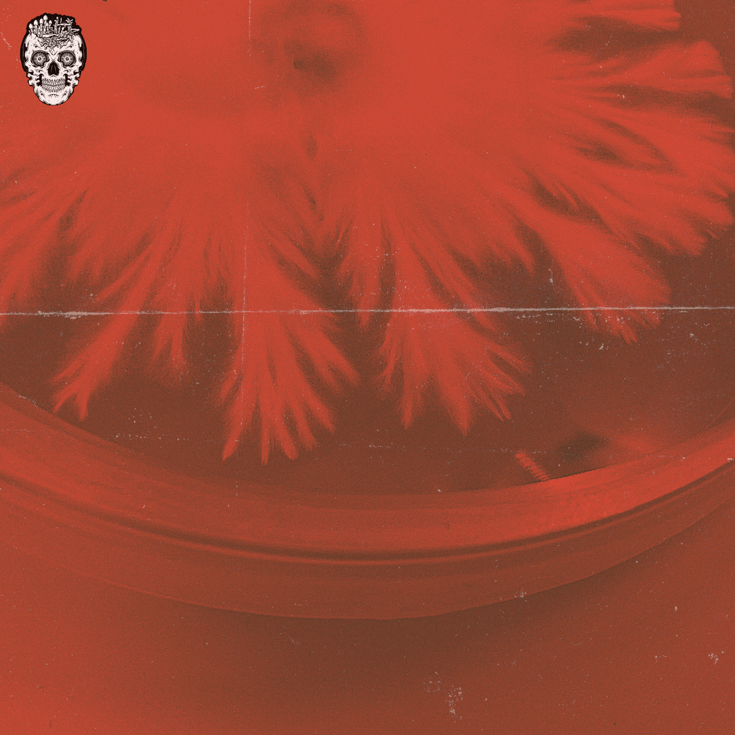 Afterschool Mycology Club #2 - Agar & Liquid Culture W/ Chris @mycopunks (Digital Download)