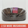 XL EASY AF Mushroom Grow Kit (All-In-One)