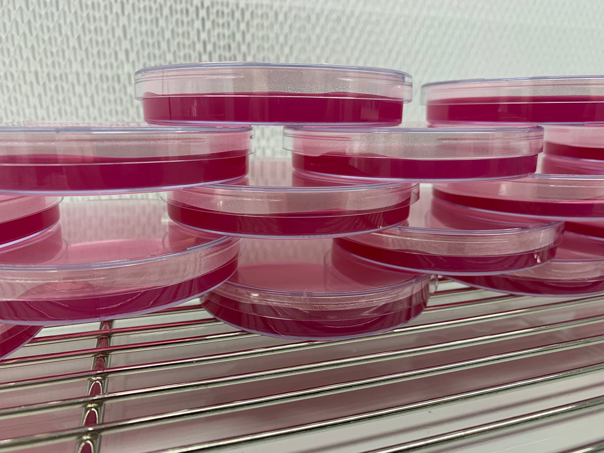 MycoPunks Rose Bengal coloured agar plates stacked up in front of a flow unit