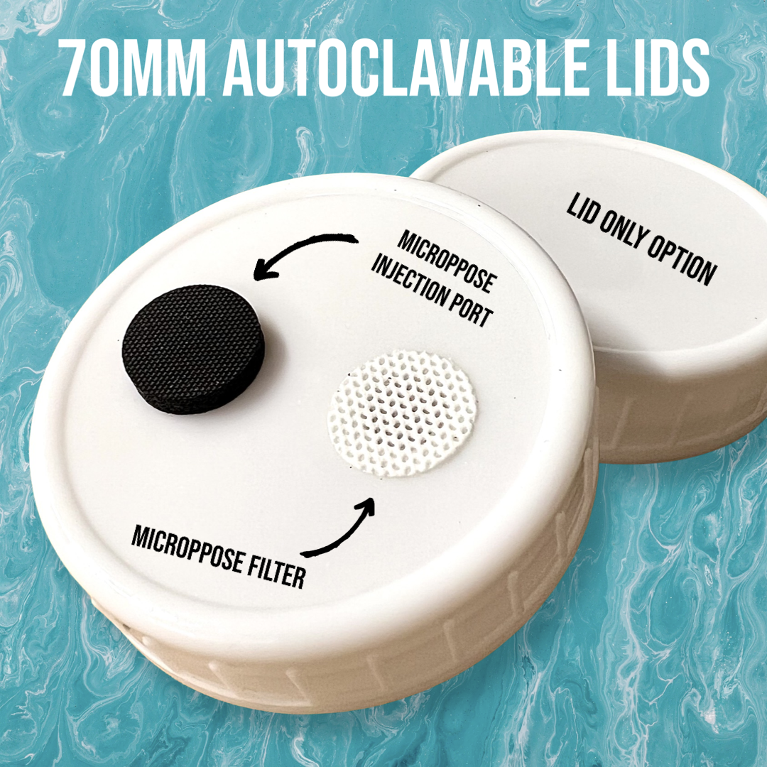 Two variations on the MycoPunks autoclavable 70mm jar lids, one has a Microppose injection port and filter installed, the other is a plain lid